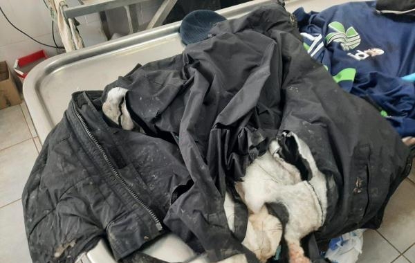 Пропавшие вещи погибшего в ДТП при участии кортежа Ярославского нашли в служебном помещении морга